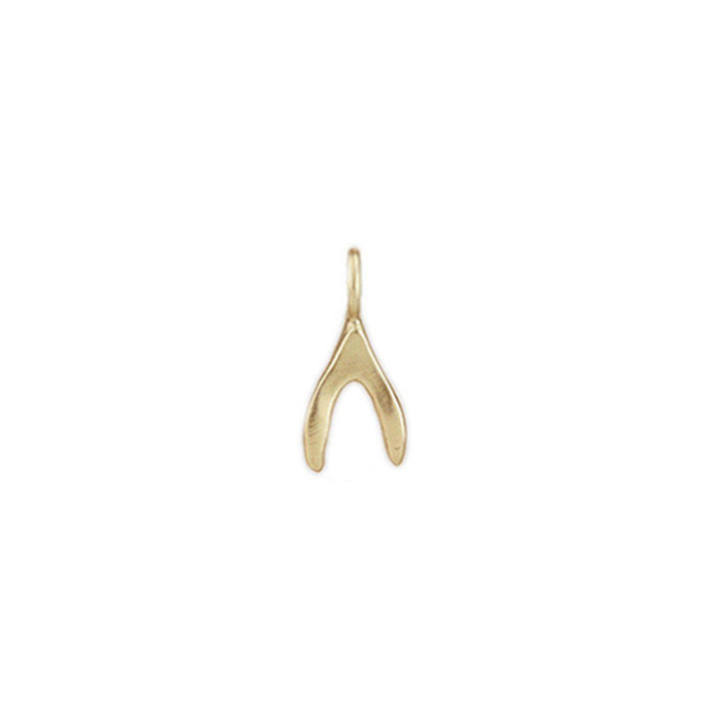 Tiny Bronze Wishbone Charm