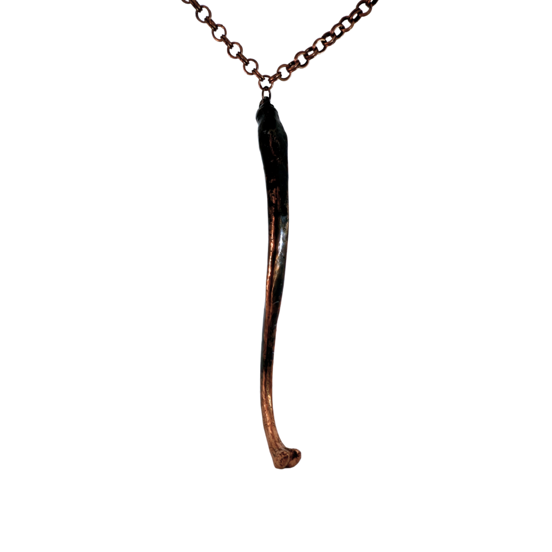 Racoon Baculum Necklace