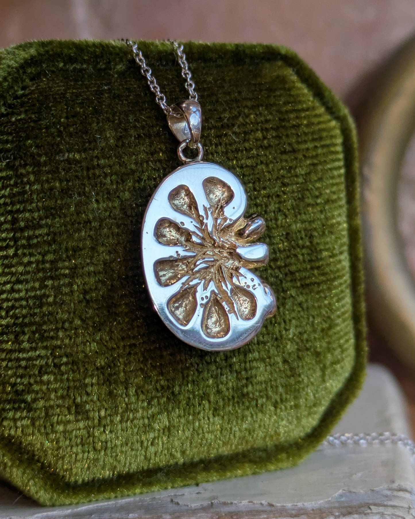 Kidney Transplant Necklace