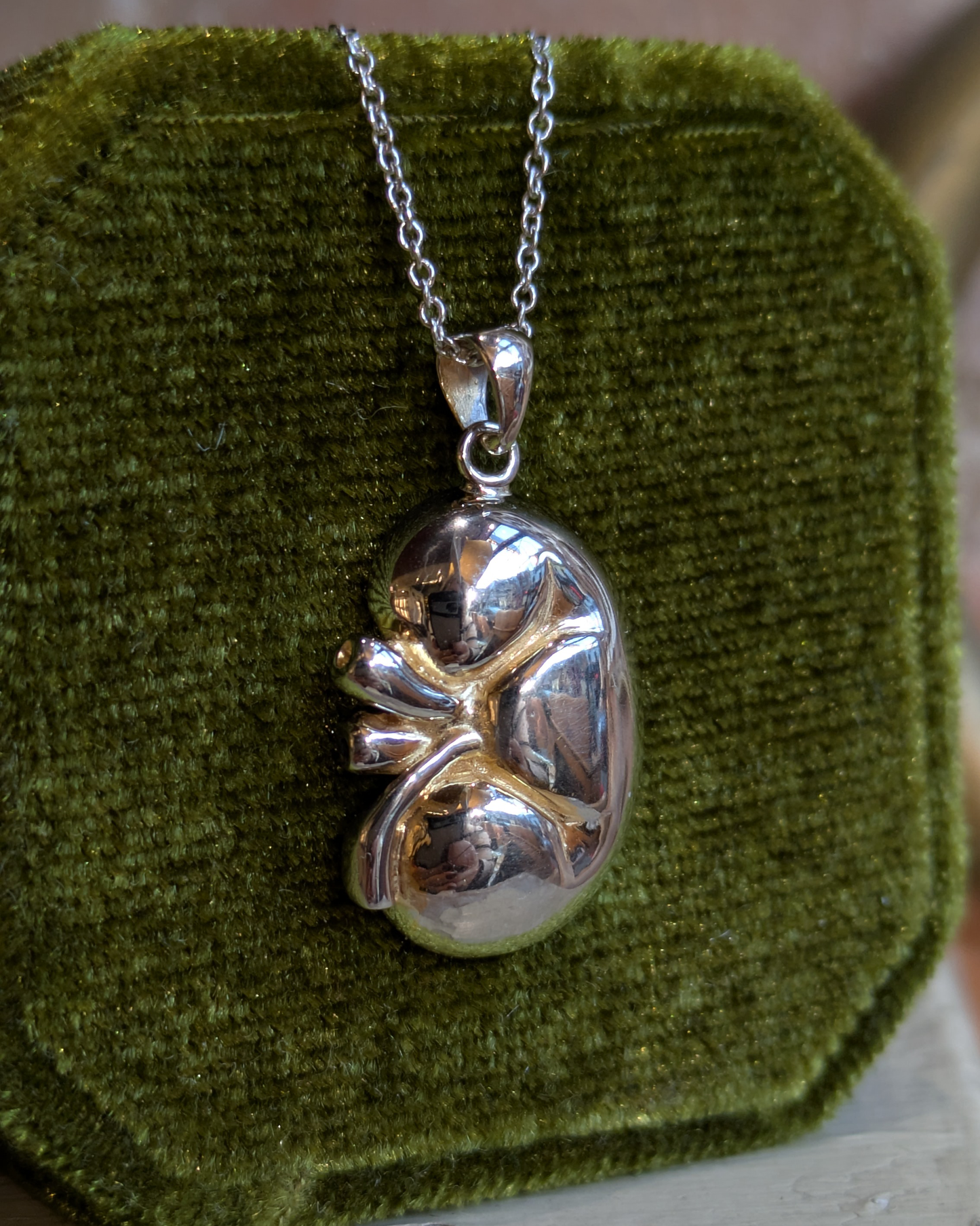 Kidney Transplant Necklace