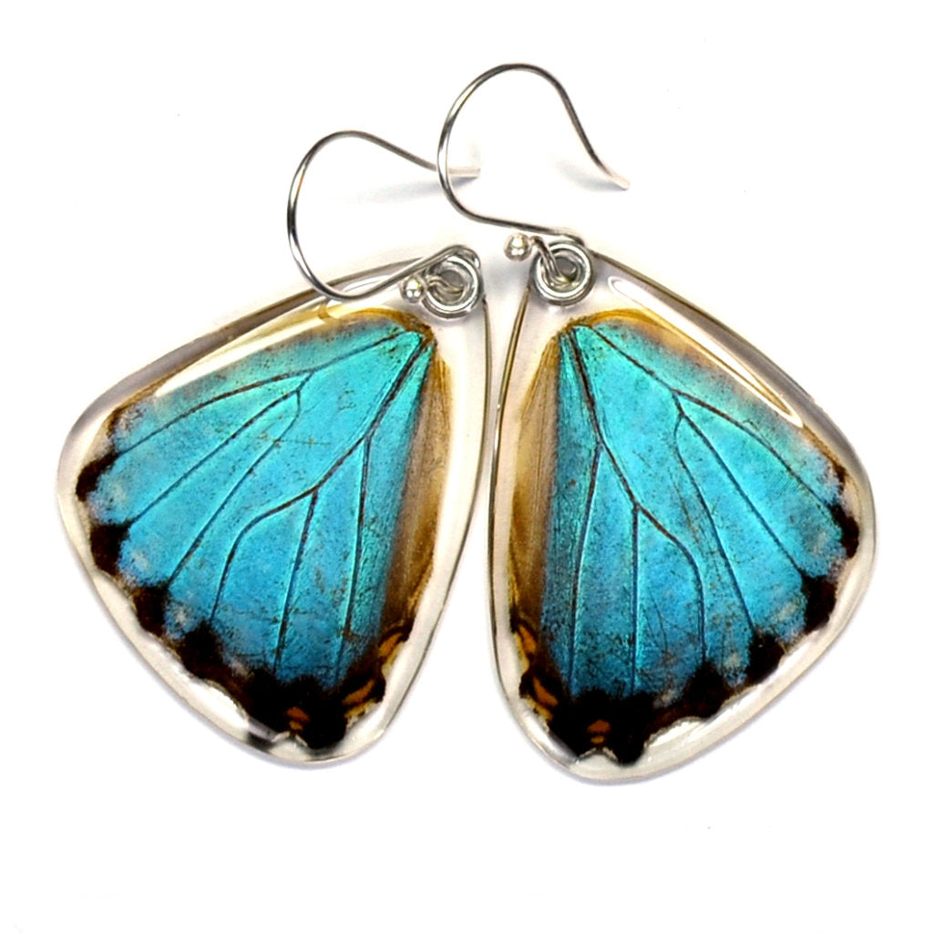 Blue Morpho Portis Bottom Wing Earrings
