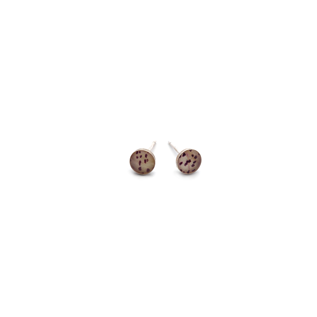 White Foxglove Flower Flower Studs