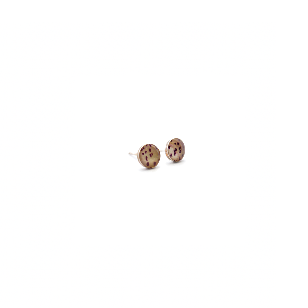 White Foxglove Flower Flower Studs