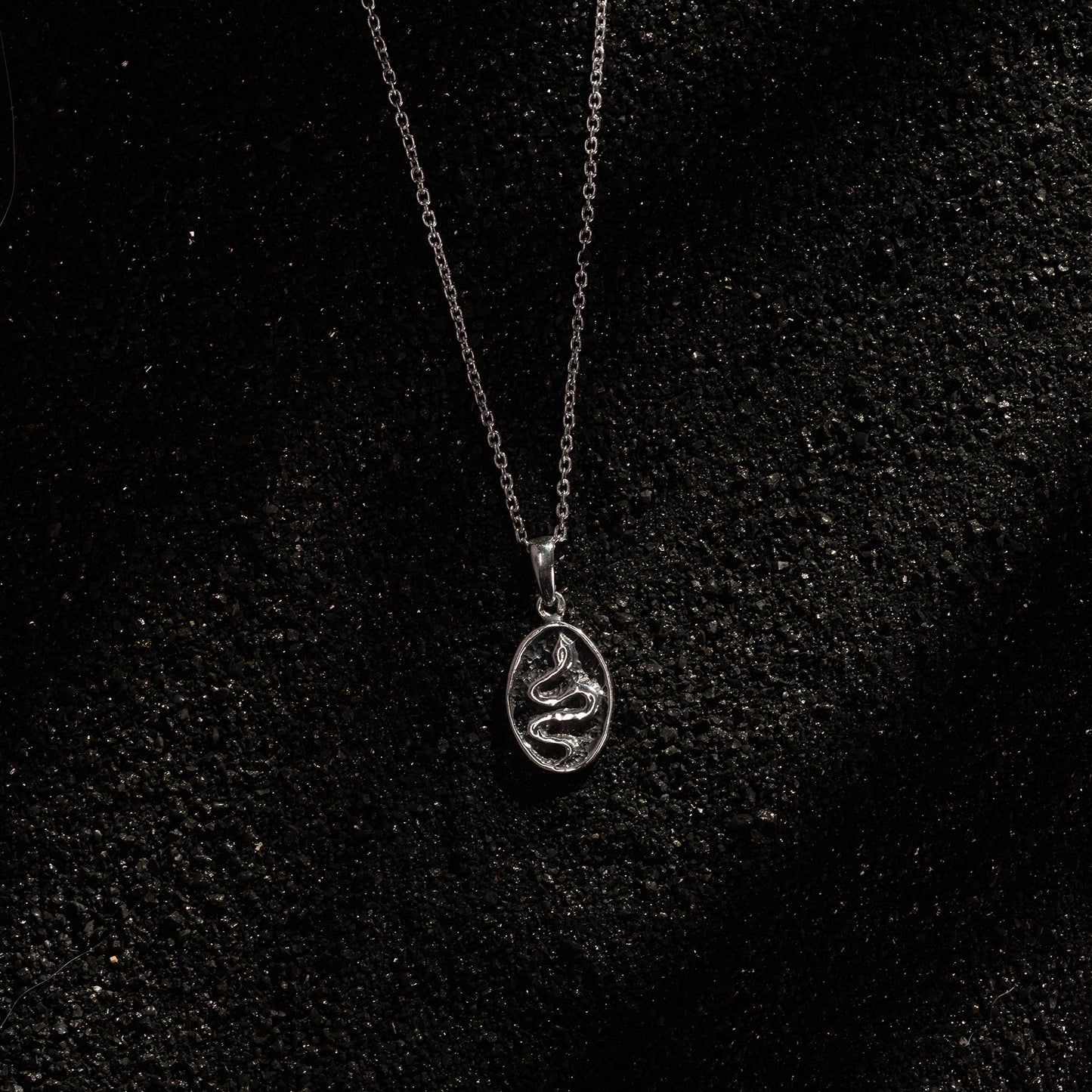 Double-Sided Beetle & Snake Oval Pendant