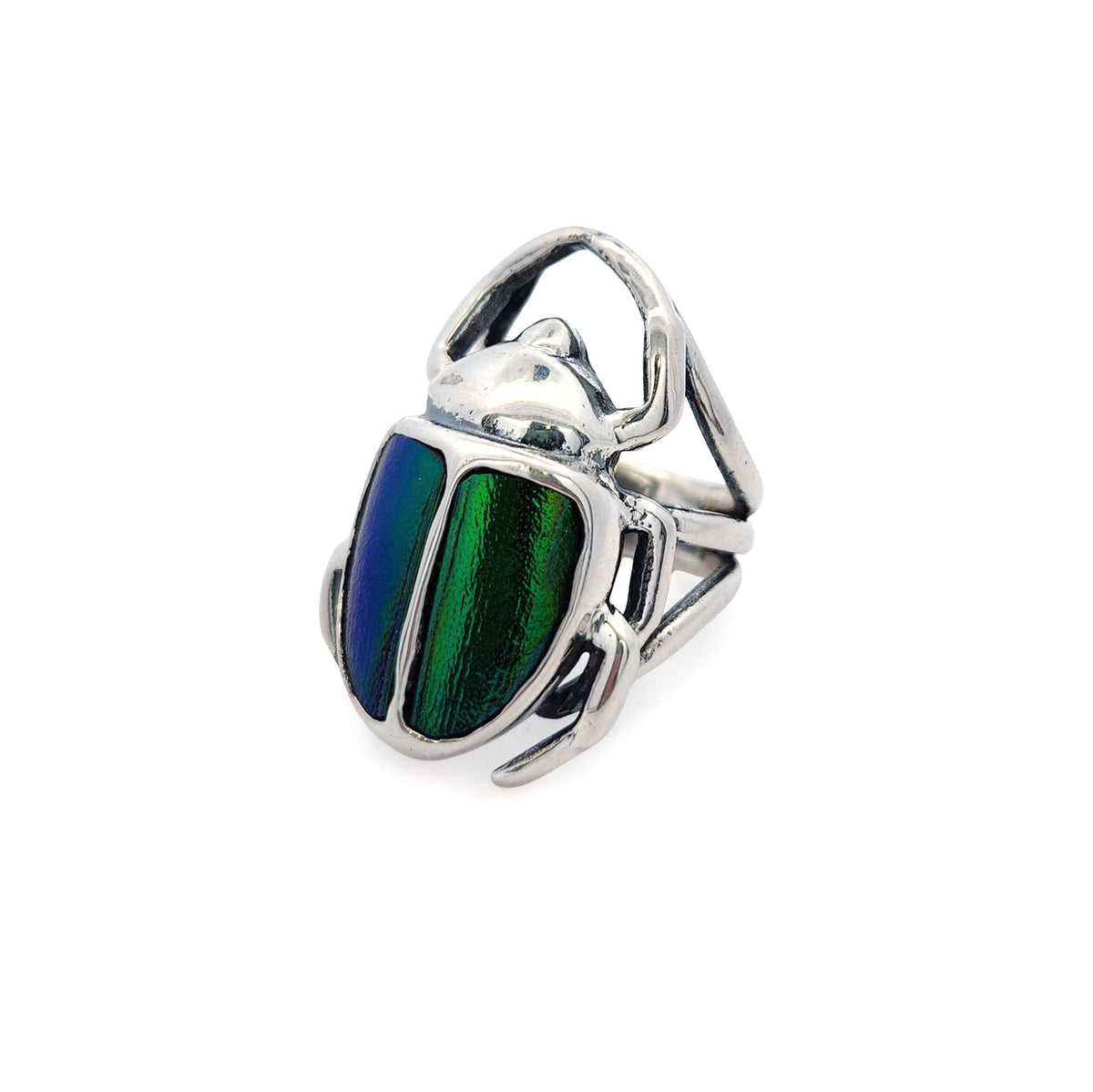 Beetle Shell Ring Large Scarab Beetle Elytra Ring – Made You Look Jewellery