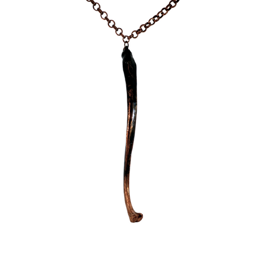 Racoon Baculum Necklace