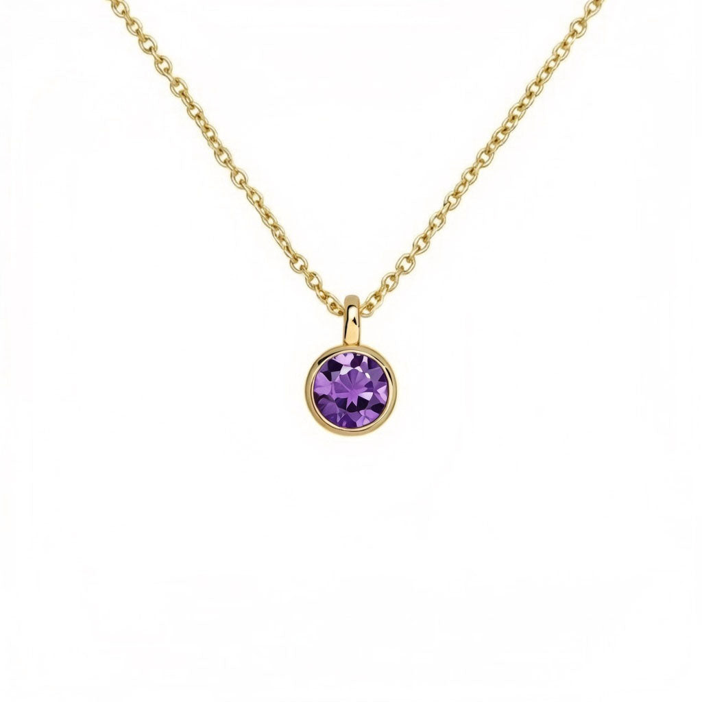 Amethyst February Birthstone Necklace