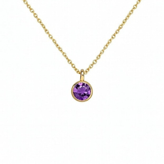 Amethyst February Birthstone Necklace