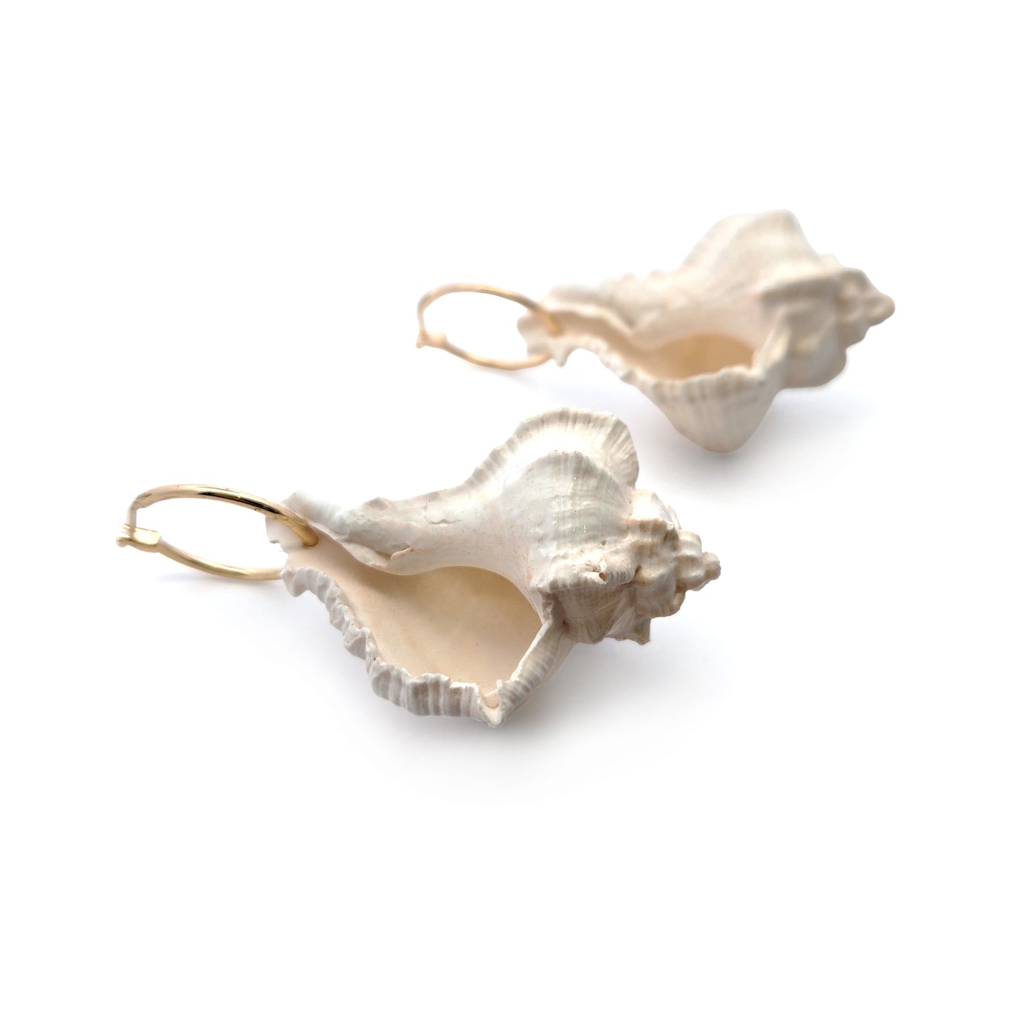 Ocean Shell Huggie Earrings