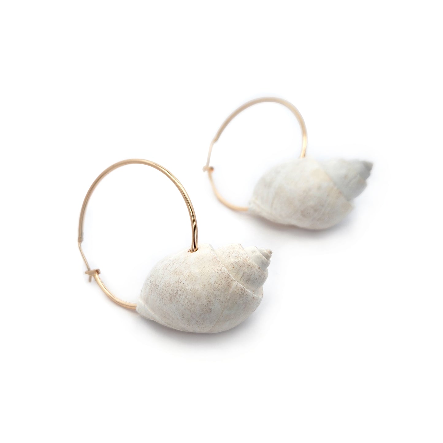 Ocean Shell Hoop Earrings