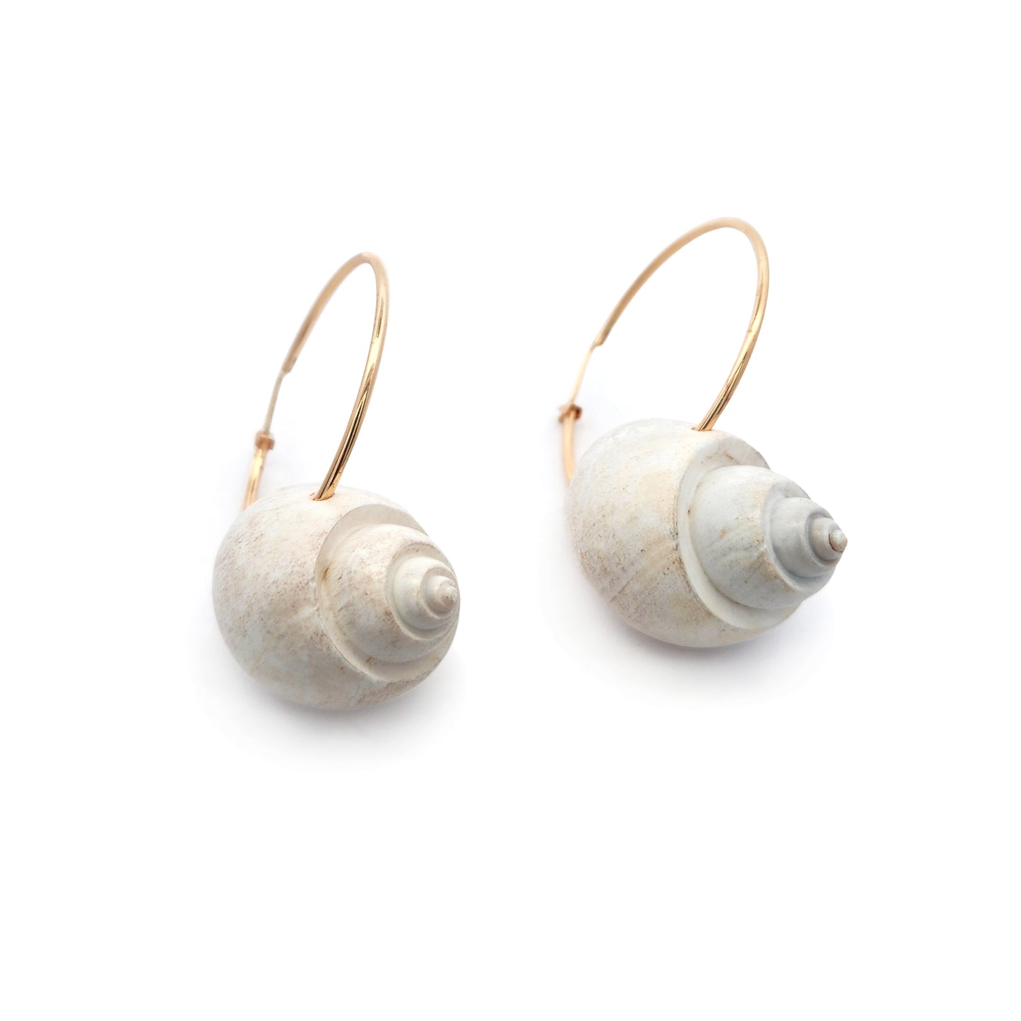 Ocean Shell Hoop Earrings