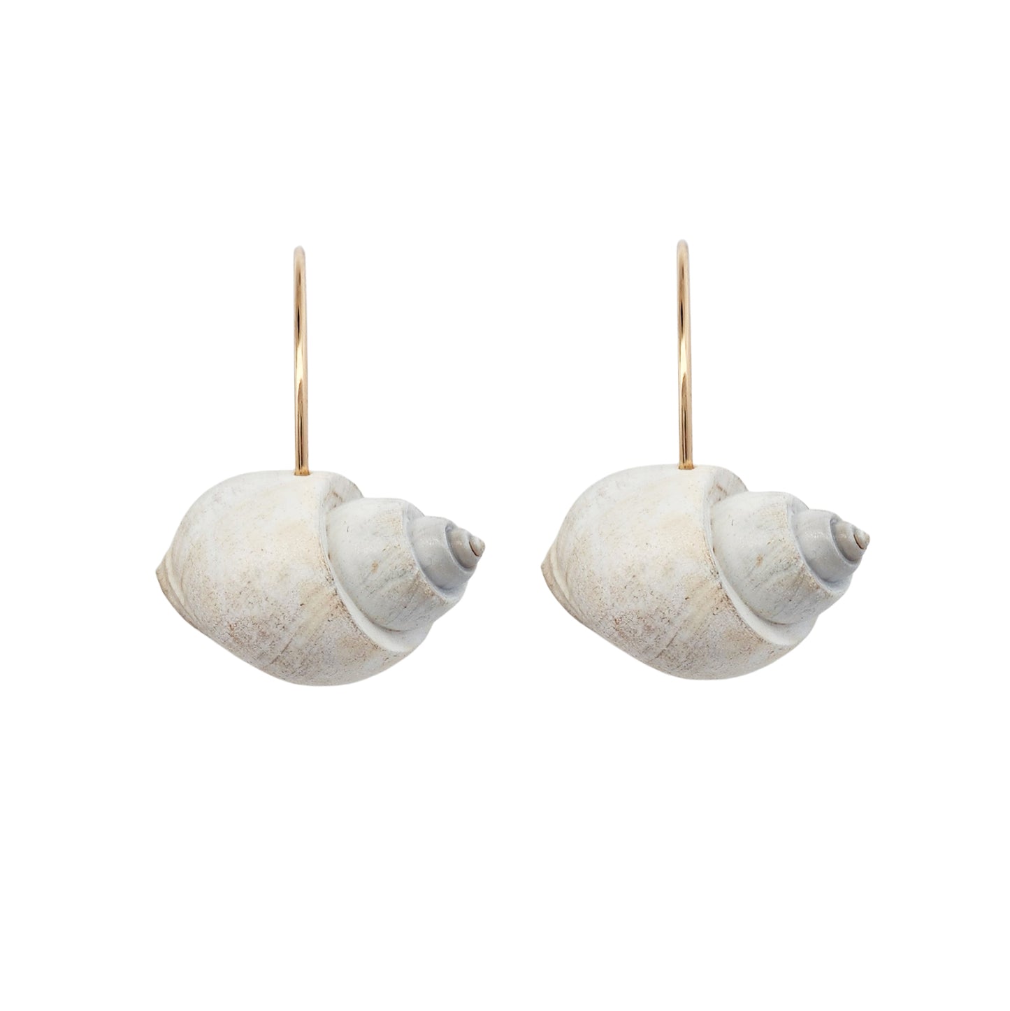 Ocean Shell Hoop Earrings