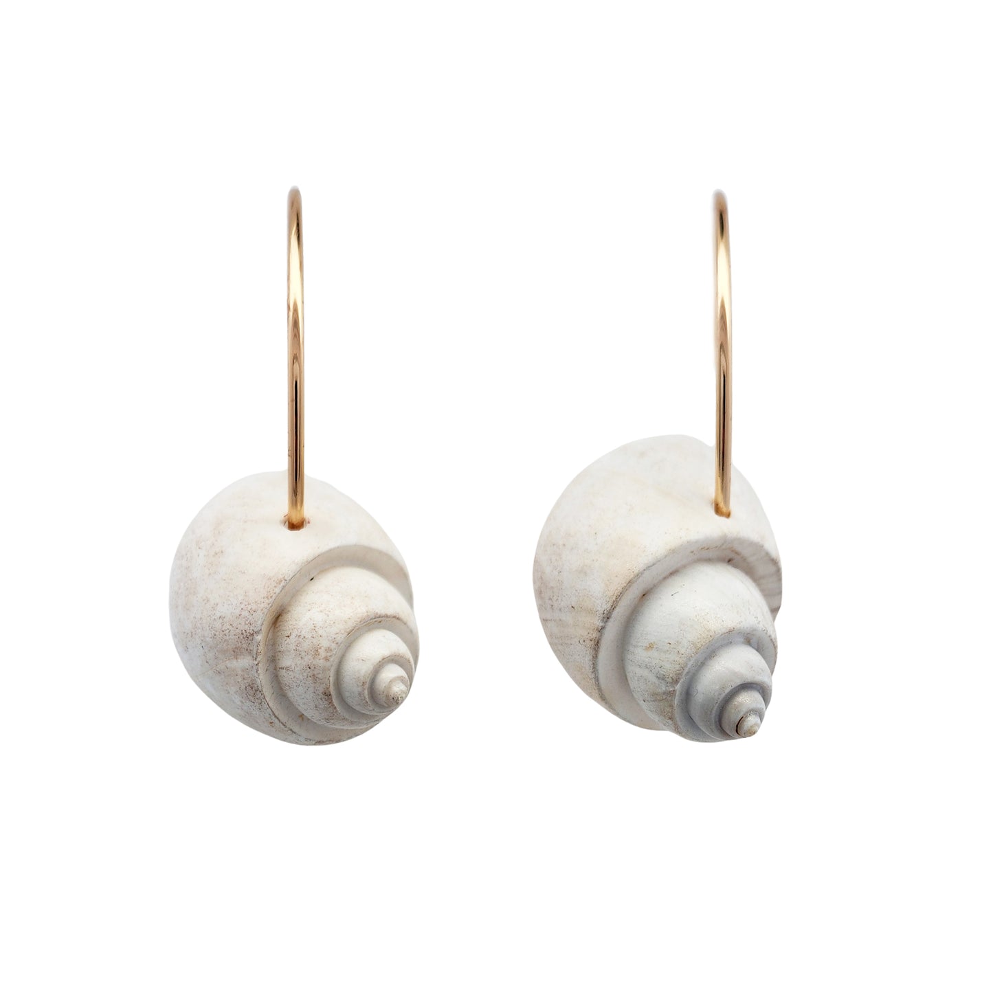 Ocean Shell Hoop Earrings