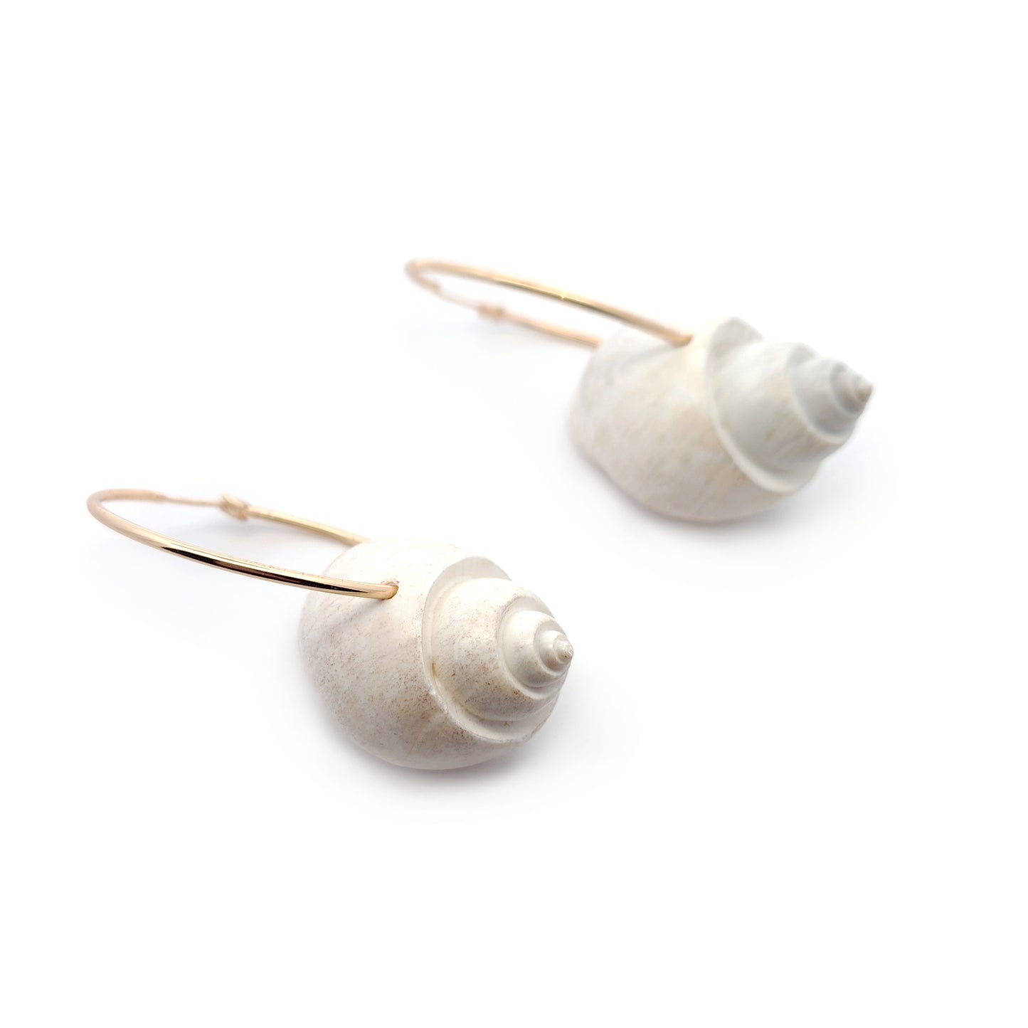 Ocean Shell Hoop Earrings