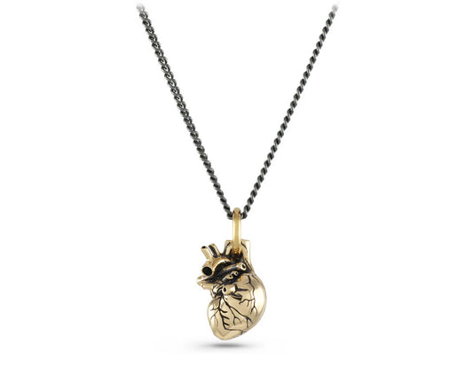 Small Bronze Anatomical Heart Pendant