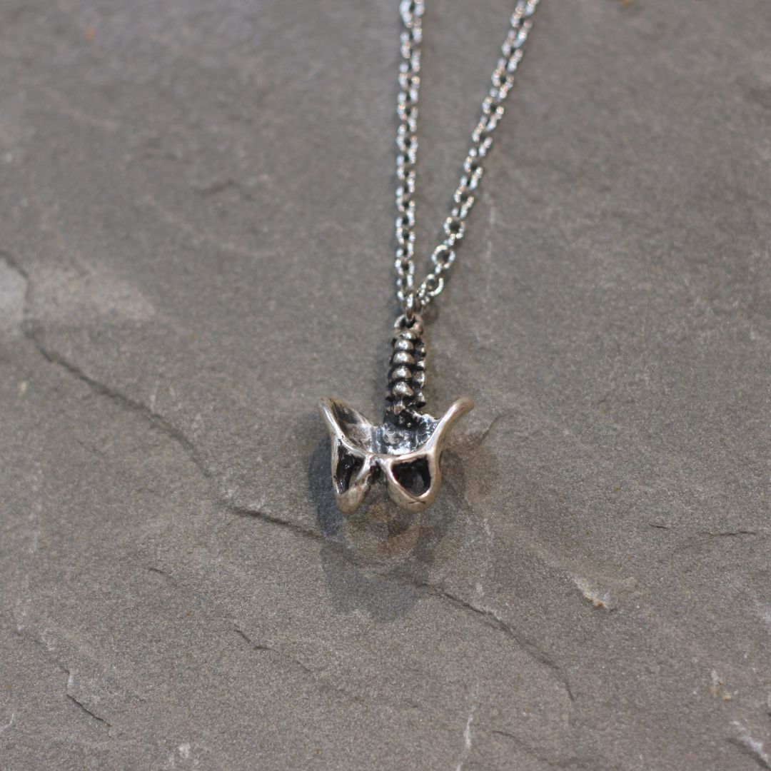 Human Pelvis Necklace