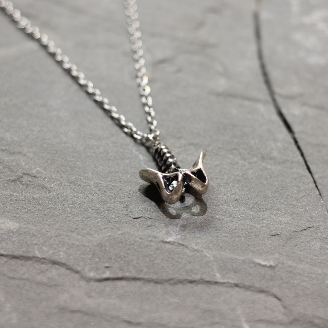 Human Pelvis Necklace