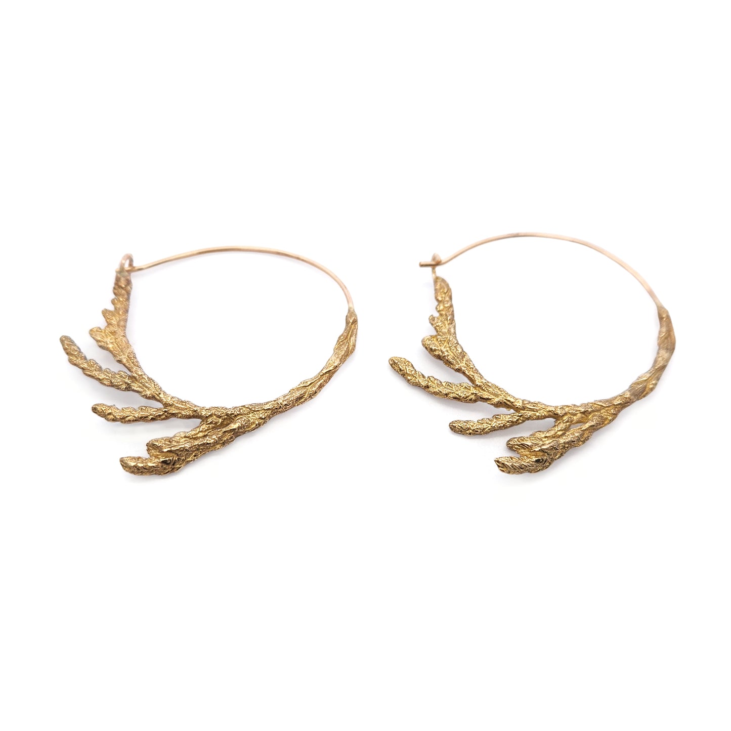 Bronze Cedar Hoop Earrings