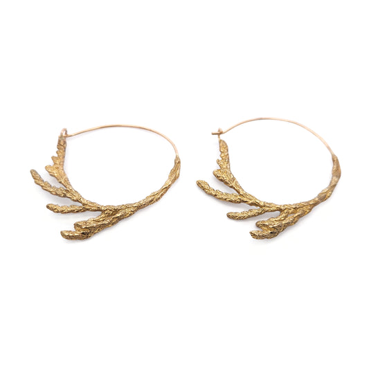 Bronze Cedar Hoop Earrings