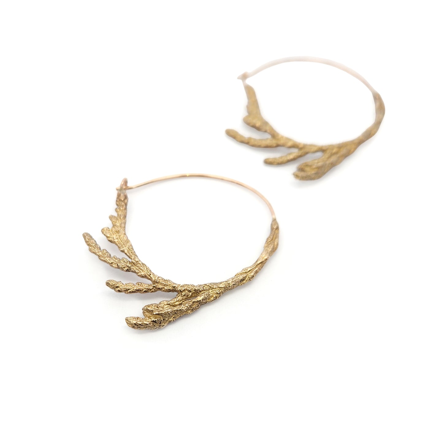 Bronze Cedar Hoop Earrings