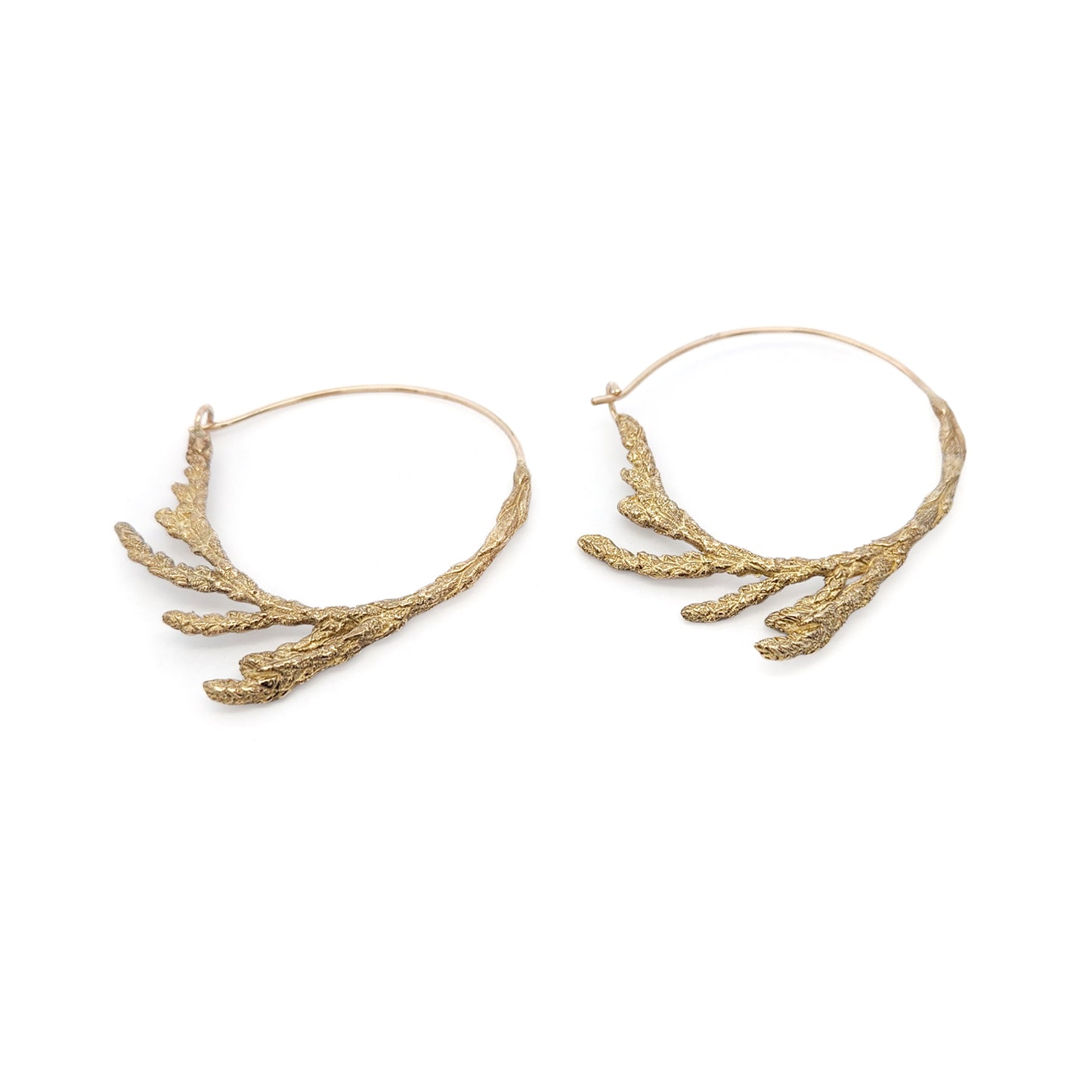 Bronze Cedar Hoop Earrings