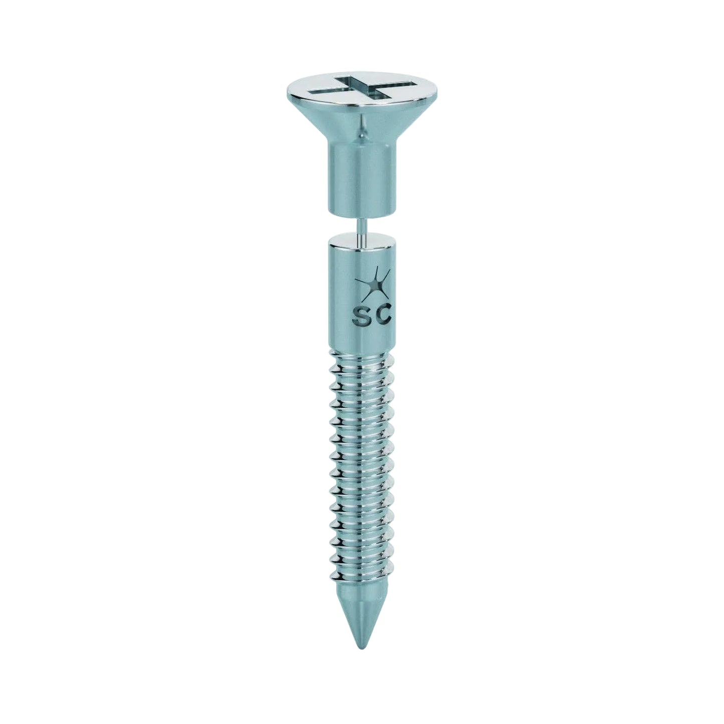 Silver Screw Earring